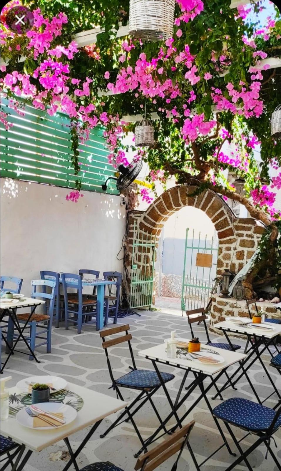 Galanopetra Rhodes Greece Penzion Rhodes City